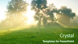  Presentation with foggy forest - Cool new slide deck with forest flowers - foggy meadow at sunrise backdrop and a tawny brown colored foreground