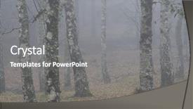 Presentation with fog - Amazing PPT theme having forest-fog-in-the-portuguese backdrop and a gray colored foreground
