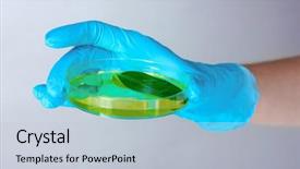  Presentation with petri dish - Colorful slides enhanced with forest genetics - genetically modified plant tested backdrop and a  colored foreground