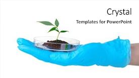  Presentation with petri dish - PPT theme featuring forest genetics - genetically modified plant tested background and a  colored foreground