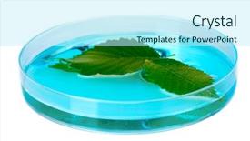  Presentation with petri dish - Slides enhanced with forest genetics - genetically modified plant tested background and a cool aqua colored foreground