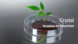  Presentation with petri dish - Beautiful PPT theme featuring forest genetics - genetically modified plant tested backdrop and a gray colored foreground