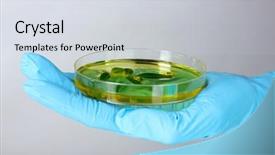  Presentation with petri dish - Beautiful PPT layouts featuring forest genetics - genetically modified plant tested backdrop and a  colored foreground