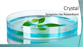  Presentation with petri dish - Audience pleasing presentation theme consisting of forest genetics - genetically modified plant tested backdrop and a white colored foreground