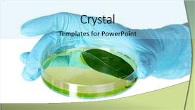  Presentation with petri dish - Slides consisting of forest genetics - genetically modified plant tested background and a arctic colored foreground