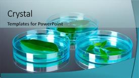  Presentation with genetically modified plants - Slide set featuring forest genetics - genetically modified plants tested background and a  colored foreground