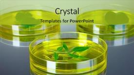  Presentation with genetically modified plants - Beautiful presentation theme featuring forest genetics - genetically modified plants tested backdrop and a  colored foreground