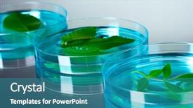  Presentation with genetically modified plants - PPT theme with forest genetics - genetically modified plants tested background and a  colored foreground