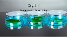  Presentation with genetically modified plants - Colorful slide deck enhanced with forest genetics - genetically modified plants tested backdrop and a  colored foreground