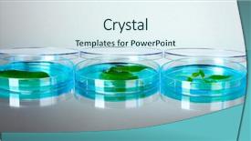  Presentation with genetically modified plants - Slide deck having forest genetics - genetically modified plants tested background and a sky blue colored foreground