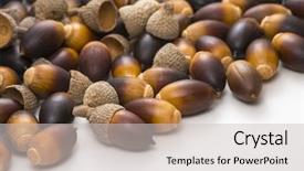  Presentation with oak tree - PPT layouts featuring forest genetics - live oak tree acorn nut background and a light gray colored foreground