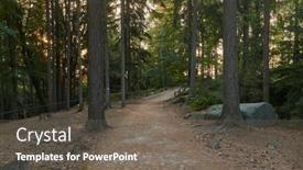  Presentation with pine trees - Colorful slide deck enhanced with forest-hikng-trail-between-pine backdrop and a gray colored foreground