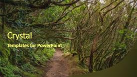  Presentation with rural - Beautiful presentation theme featuring forest in anaga rural park tenerife backdrop and a tawny brown colored foreground