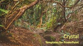  Presentation with rural tourism - Presentation theme with forest in anaga rural park background and a tawny brown colored foreground