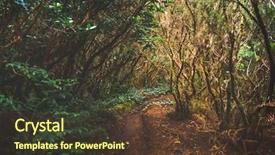  Presentation with rural - PPT theme featuring forest in anaga rural park tenerife background and a tawny brown colored foreground