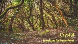  Presentation with rural tourism - Presentation theme enhanced with forest in anaga rural park background and a tawny brown colored foreground