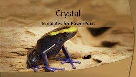  Presentation with poison - Presentation theme enhanced with forest in brazil french guyana background and a coral colored foreground