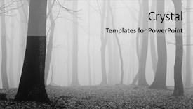  Presentation with fog - Audience pleasing presentation consisting of forest in fog backdrop and a light gray colored foreground
