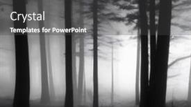  Presentation with foggy forest - Presentation design consisting of forest-in-foggy-autumn-weather background and a  colored foreground