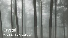  Presentation with foggy forest - Slide deck featuring forest-in-foggy-autumn-weather background and a gray colored foreground