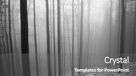  Presentation with foggy forest - Cool new slide set with forest in foggy day black backdrop and a gray colored foreground