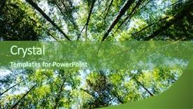  Presentation with olympic - Slide deck enhanced with forest in olympic national park background and a  colored foreground