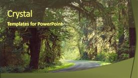  Presentation with olympic - Beautiful slides featuring forest in olympic national park backdrop and a  colored foreground