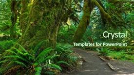 Presentation with olympic - Slides featuring forest in olympic national park background and a tawny brown colored foreground