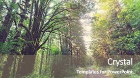  Presentation with olympic - Slide deck consisting of forest in olympic national park background and a coral colored foreground