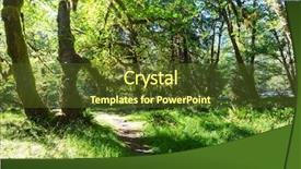  Presentation with olympic games ring - Presentation theme having forest in olympic national park background and a  colored foreground