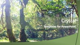  Presentation with olympic games ring - Colorful theme enhanced with forest in olympic national park backdrop and a seafoam green colored foreground