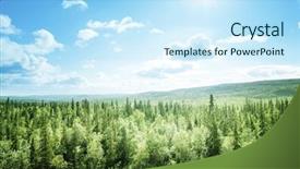  Presentation with pine forest - Cool new PPT layouts with forest in sunny day backdrop and a sky blue colored foreground
