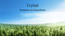  Presentation with jungle - Presentation design with forest in sunset time background and a light blue colored foreground