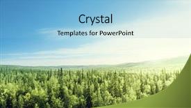  Presentation with forest - Theme featuring forest in sunset time background and a light blue colored foreground