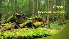  Presentation with forest - Audience pleasing PPT theme consisting of forest in the national park backdrop and a tawny brown colored foreground