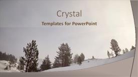  Presentation with forest - PPT theme consisting of forest-in-the-pyrenees-aspe background and a lemonade colored foreground