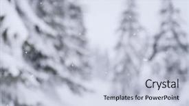  Presentation with spruce - PPT theme with forest in the snow overcast background and a  colored foreground