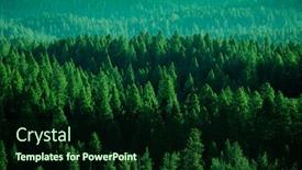  Presentation with wilderness - Presentation theme consisting of forest in the wilderness mountains green growth background and a forest green colored foreground