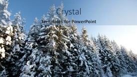  Presentation with winter forest - Cool new theme with forest-in-winter-beautiful-christmas backdrop and a light blue colored foreground