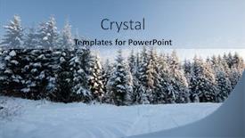  Presentation with forest winter - Amazing PPT theme having forest-in-winter-beautiful-christmas backdrop and a light blue colored foreground