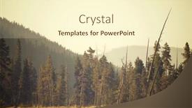  Presentation with yellowstone - Theme having forest-in-yellowstone-national-park background and a cream colored foreground