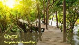  Presentation with rain water - Audience pleasing slide deck consisting of forest jungle of mangrove trees backdrop and a tawny brown colored foreground