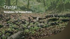  Presentation with dark forest landscape - 