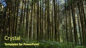  Presentation with recreation - 