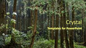  Presentation with recreation - 