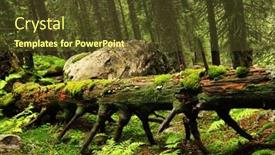  Presentation with romania - Presentation design with forest-landscape-in-national-park background and a tawny brown colored foreground