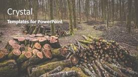  Presentation with management - Slide deck with forest-management-forestry-work background and a gray colored foreground