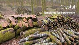  Presentation with luxembourg - Cool new theme with forest-management-forestry-work backdrop and a violet colored foreground