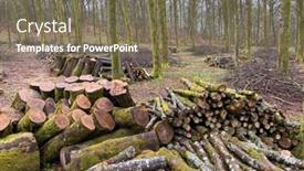  Presentation with management - Cool new PPT theme with forest-management-forestry-work backdrop and a violet colored foreground