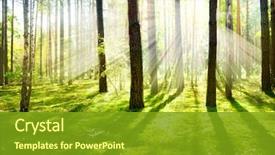  Presentation with forest morning - Theme with forest morning fog misty background and a tawny brown colored foreground